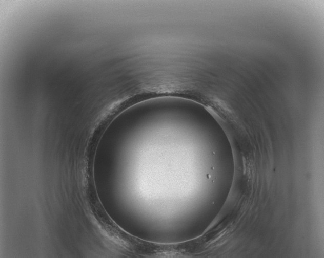 X0000068310540200604281738