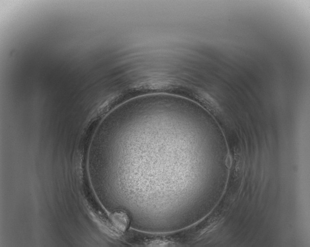 X0000068310542200604281738