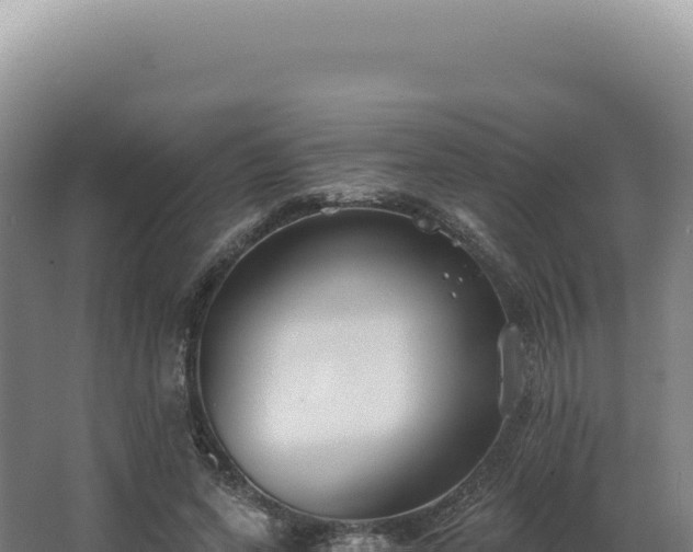 X0000068310543200604281738