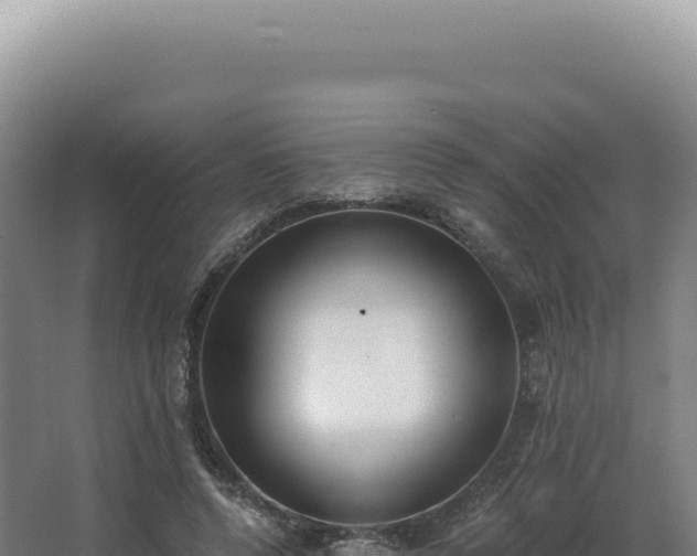 X0000068310544200604281738