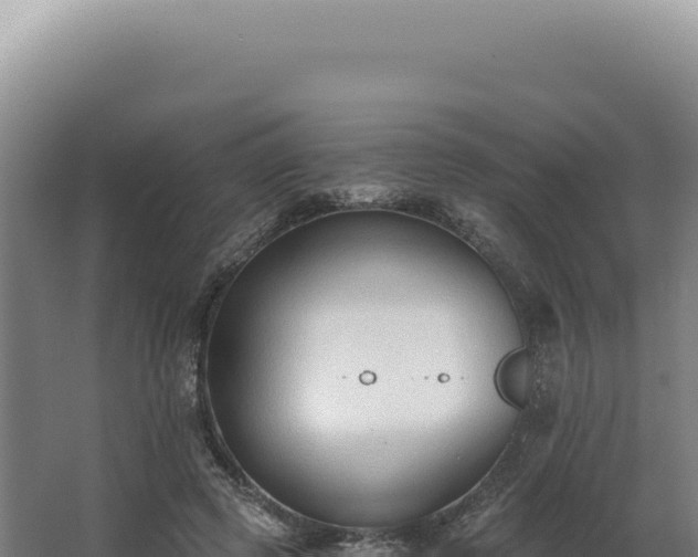 X0000068310545200604281738