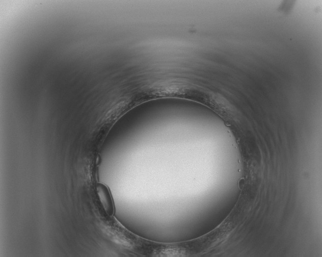 X0000068310546200604281738