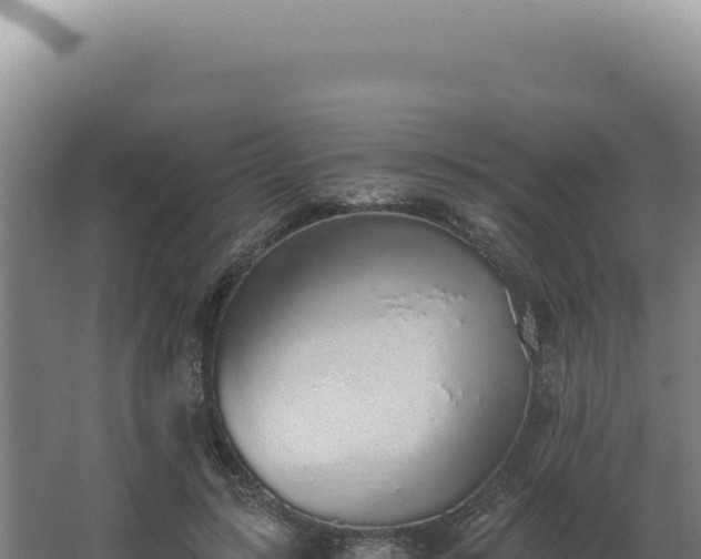 X0000068310547200604281738