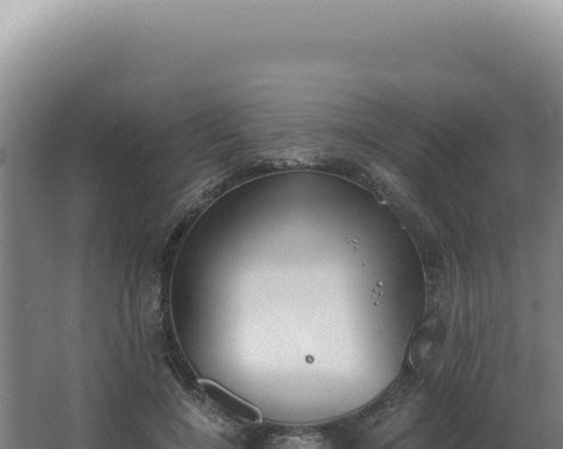 X0000068310548200604281738