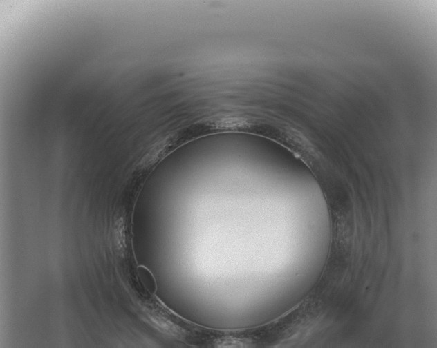 X0000068310549200604281738