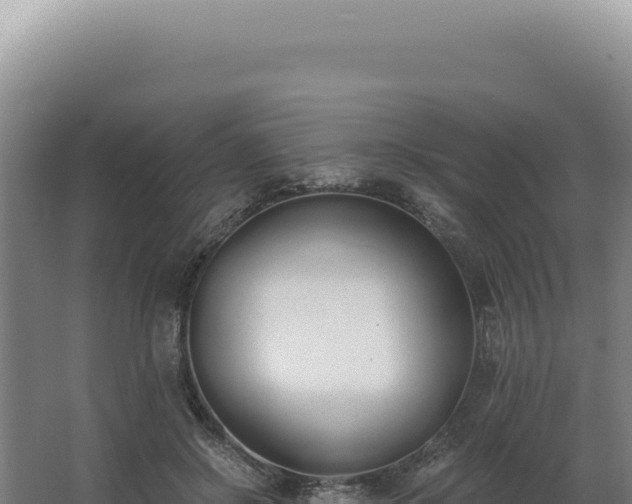 X0000068310550200604281738