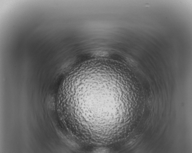 X0000068310551200604281738