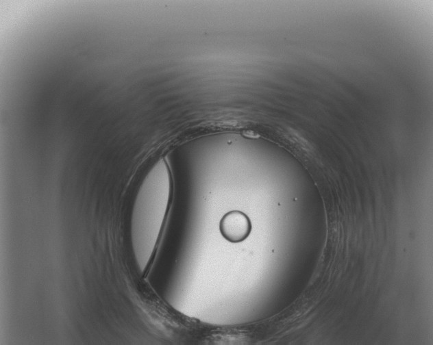 X0000068310552200604281738