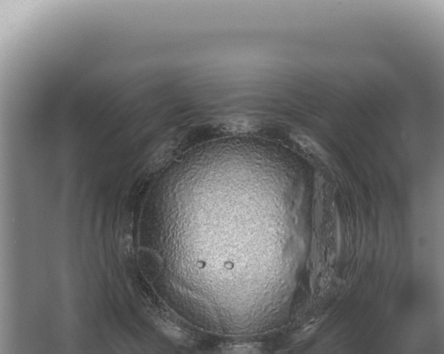 X0000068310553200604281738