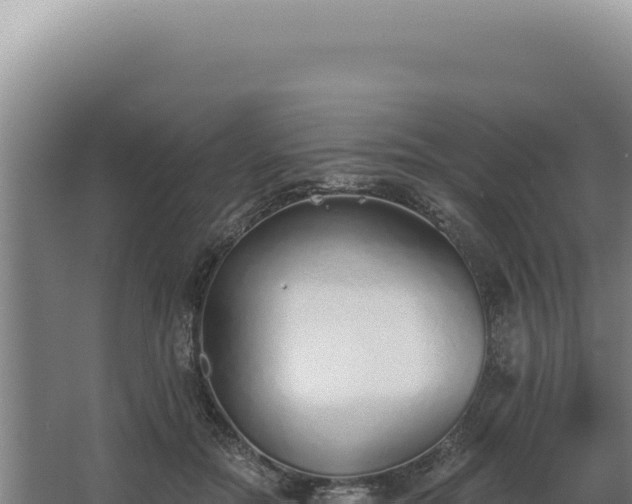 X0000068310554200604281738