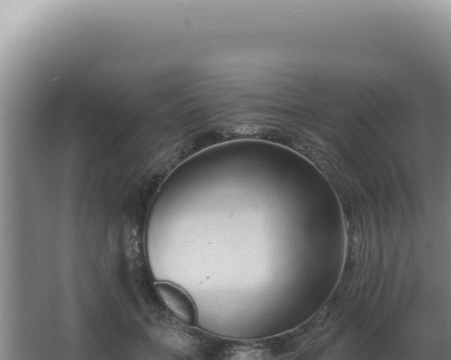 X0000068310555200604281738