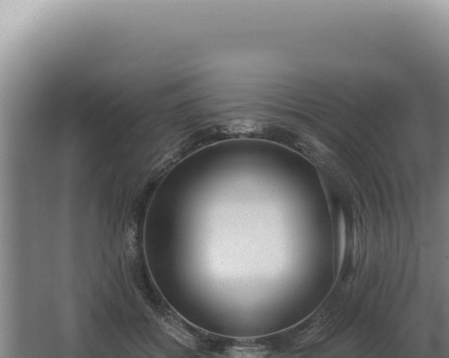 X0000068310556200604281738