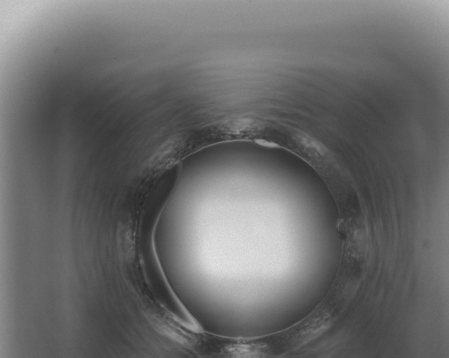 X0000068310558200604281738