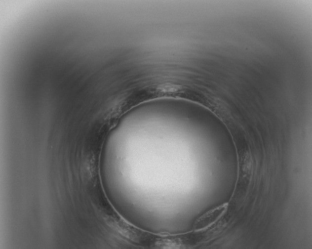 X0000068310559200604281738