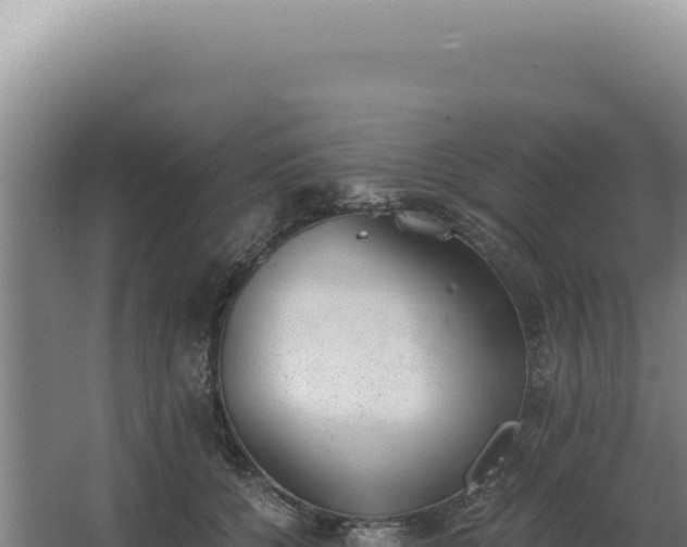 X0000068310560200604281738