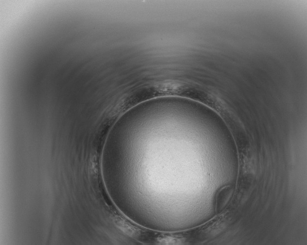 X0000068310561200604281738