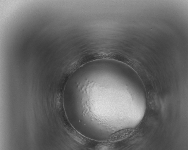 X0000068310563200604281738