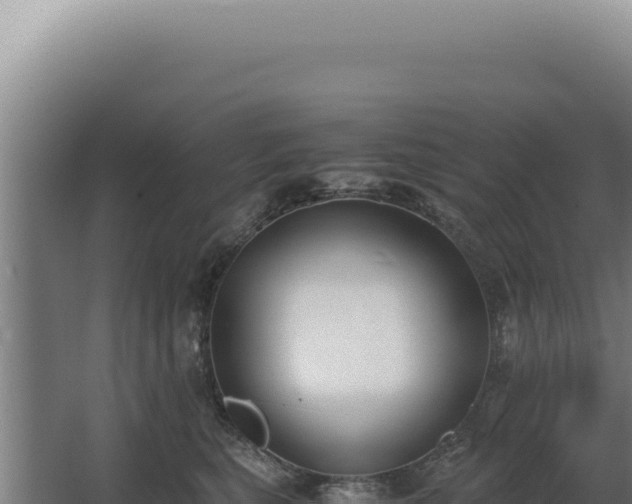 X0000068310567200604281738