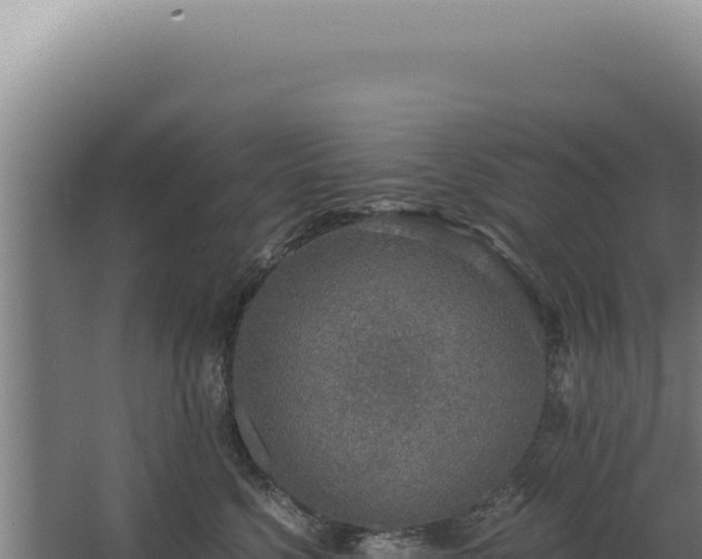 X0000068310568200604281738