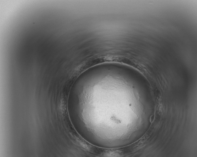 X0000068310569200604281738