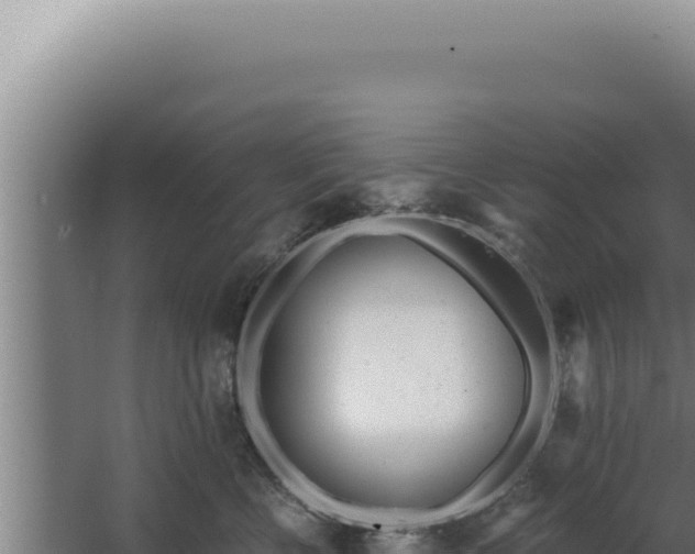 X0000068310570200604281738