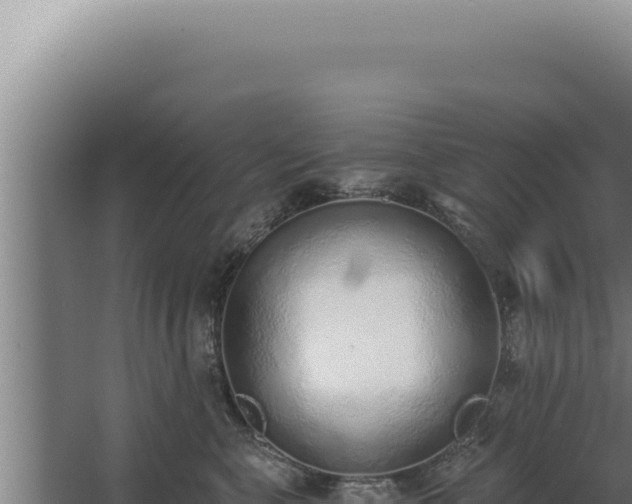 X0000068310571200604281738