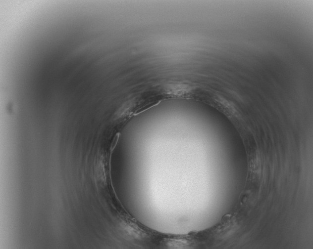 X0000068310572200604281738