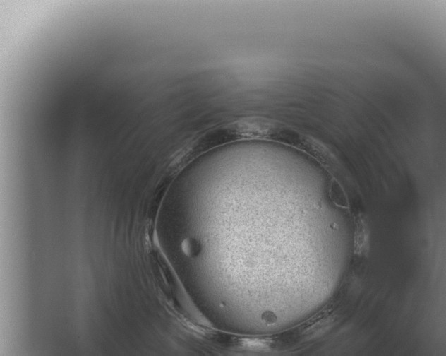 X0000068310573200604281738