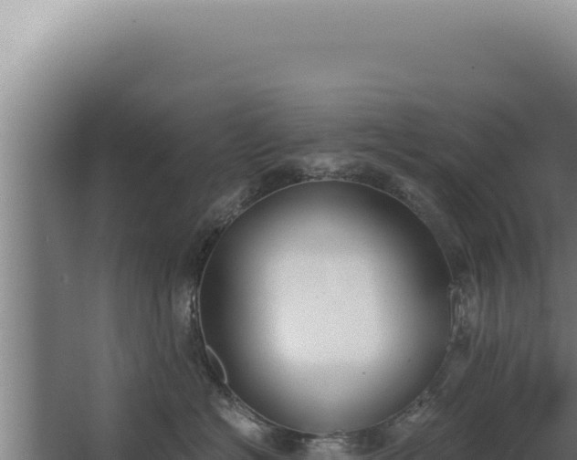 X0000068310574200604281739