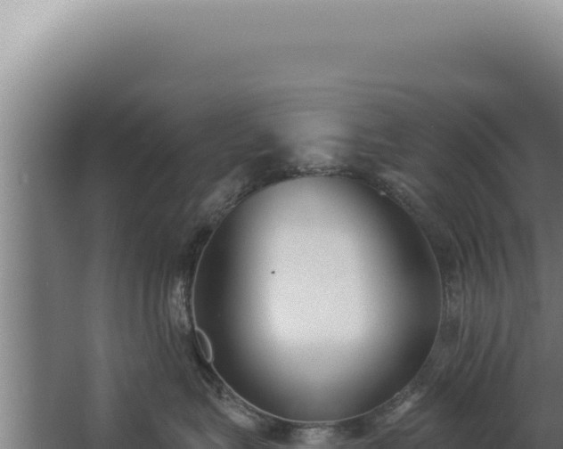 X0000068310575200604281739