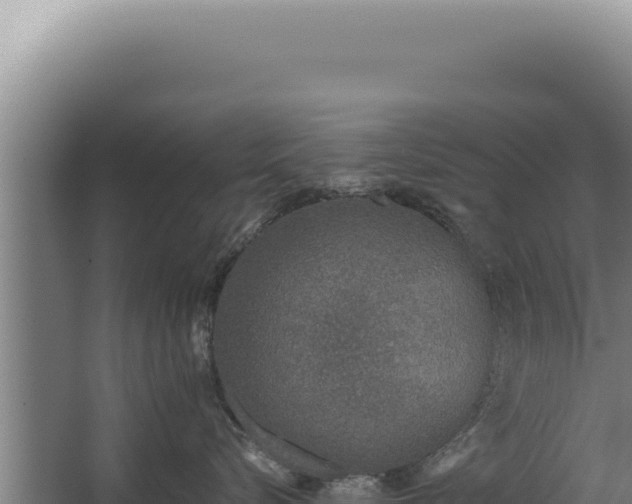 X0000068310576200604281739