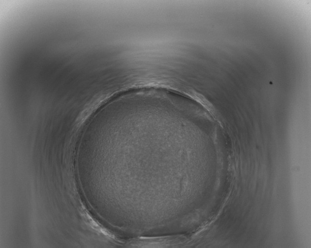 X0000068310577200604281738