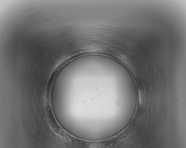 X0000068310579200604281738