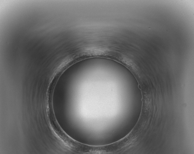 X0000068310582200604281738