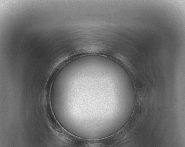 X0000068310583200604281738