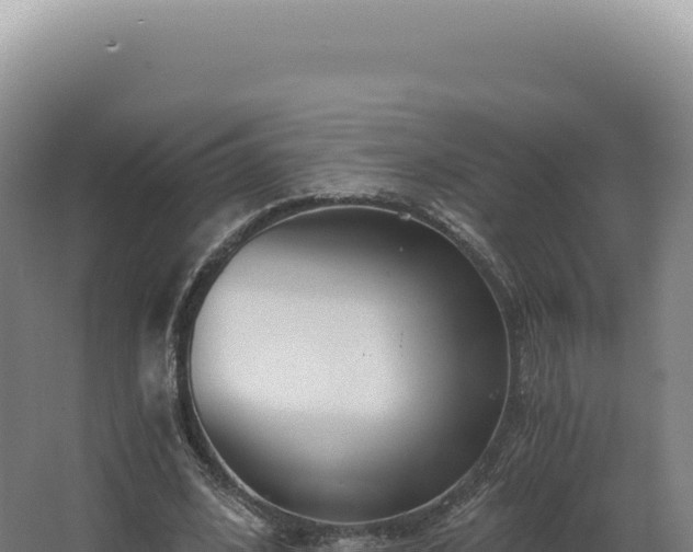 X0000068310584200604281738