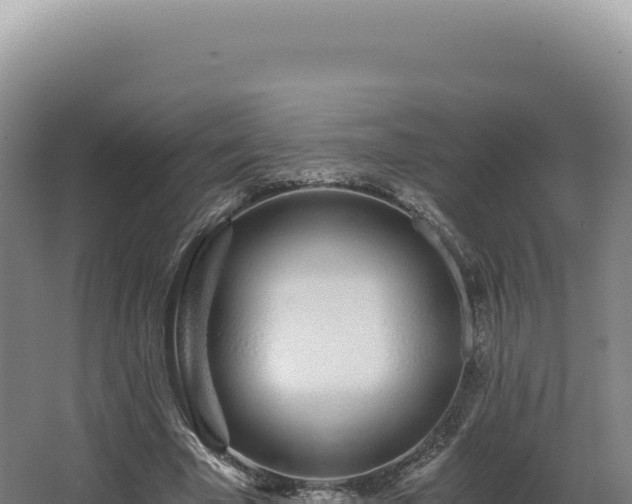 X0000068310585200604281738