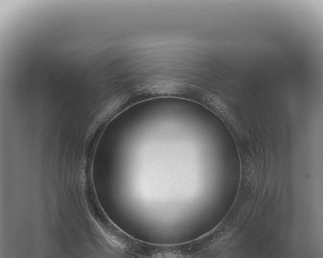 X0000068310586200604281738