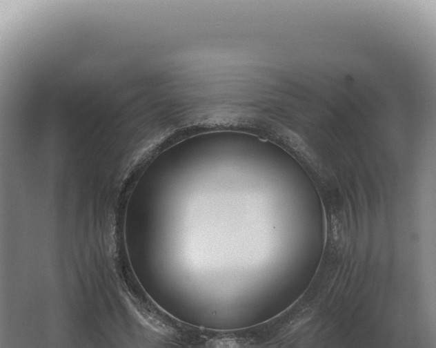 X0000068310588200604281738