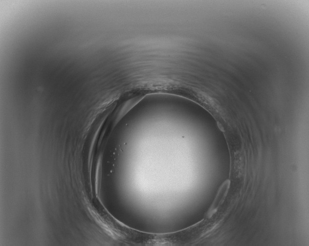 X0000068310589200604281738