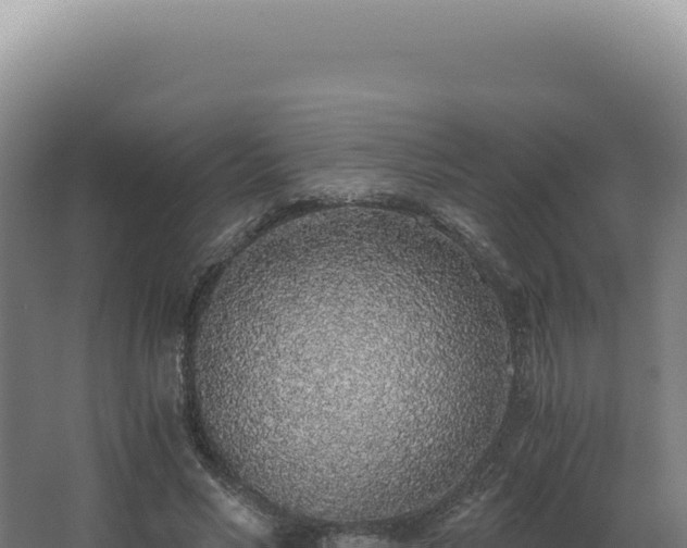 X0000068310590200604281738