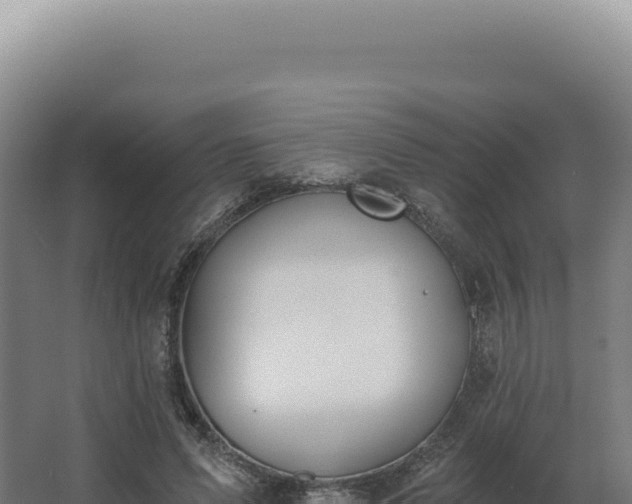 X0000068310591200604281738