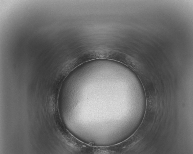 X0000068310594200604281737