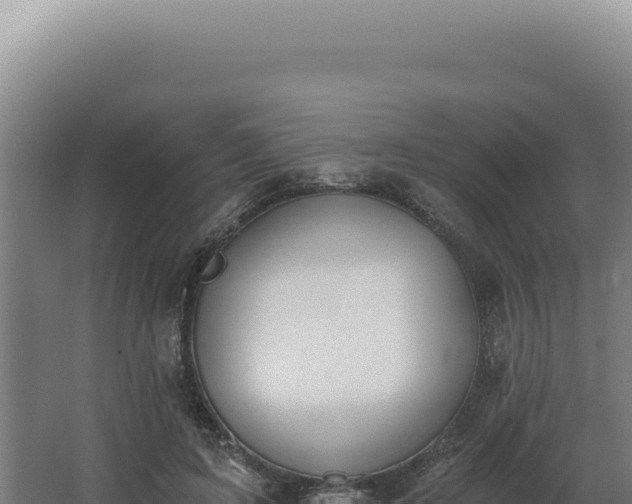 X0000068310595200604281737