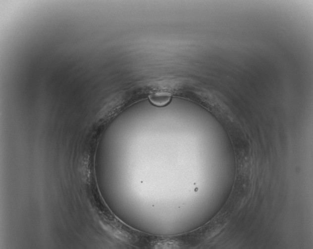 X0000068310599200604281737