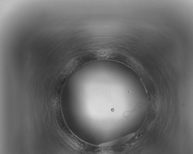 X0000068310601200604281737