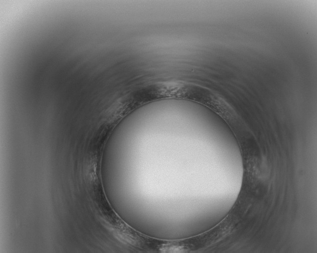 X0000068310602200604281737