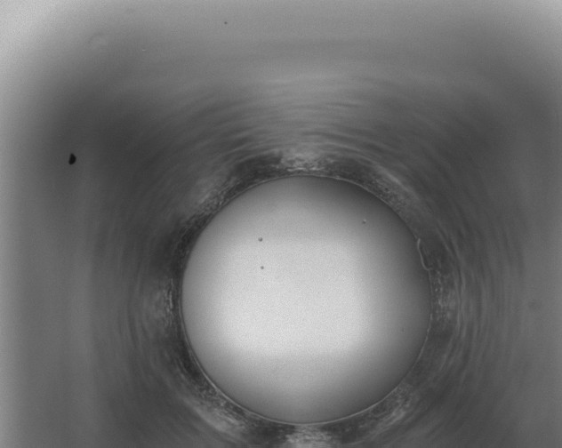 X0000068310603200604281737