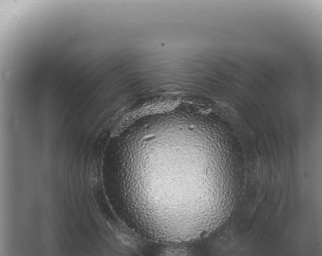 X0000068310606200604281737