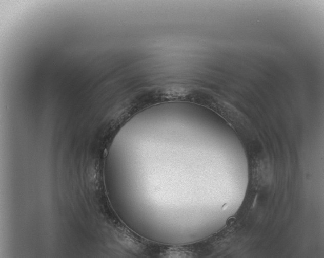 X0000068310608200604281737